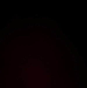 Meet your Posher, Reagann